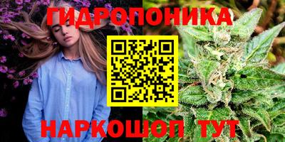 гашиш Заводоуковск